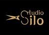 Studio Silo as