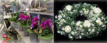 Kroken Blomster