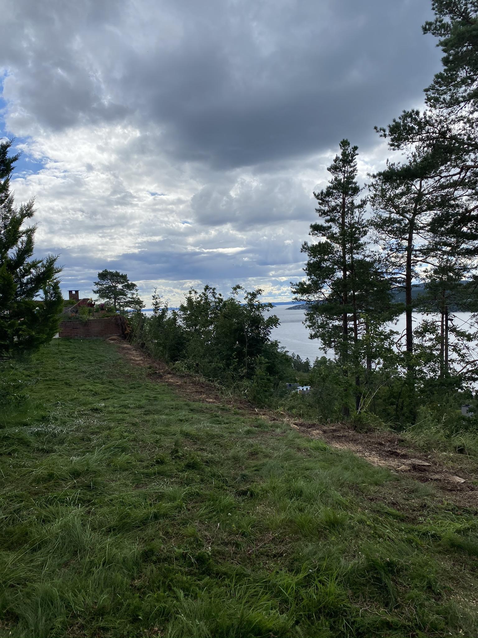 Utsikt over en grønn eng med trær mot en innsjø under en skyet himmel.
