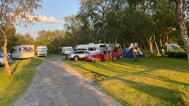 Campingplass med bobiler, telt og biler omringet av trær og grønt gress i solfylt vær.