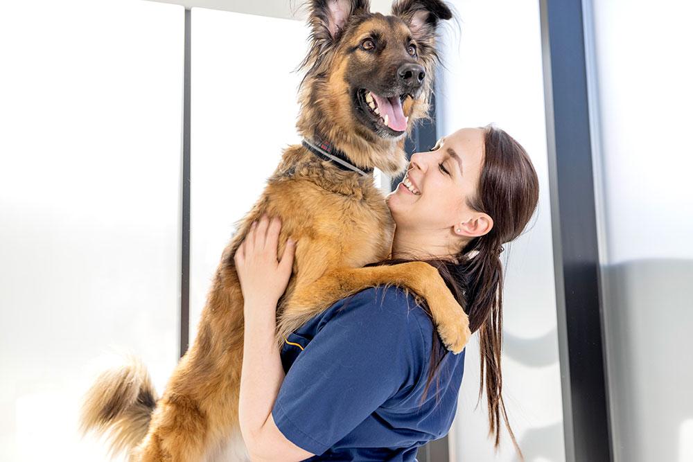 En smilende kvinne holder en stor hund i armene sine, med vinduer i bakgrunnen.