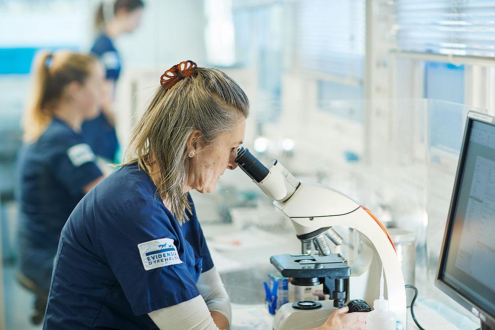 En laboratorietekniker ser gjennom et mikroskop i et moderne laboratorium.