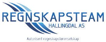 RegnskapsTeam Hallingdal AS