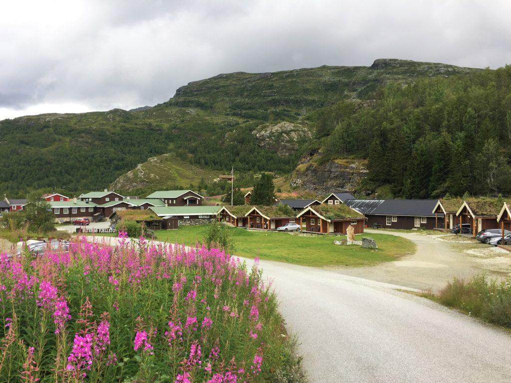 Nydelig landskap med hytter, blomster og fjell i bakgrunnen, langs en grusvei i Norge.