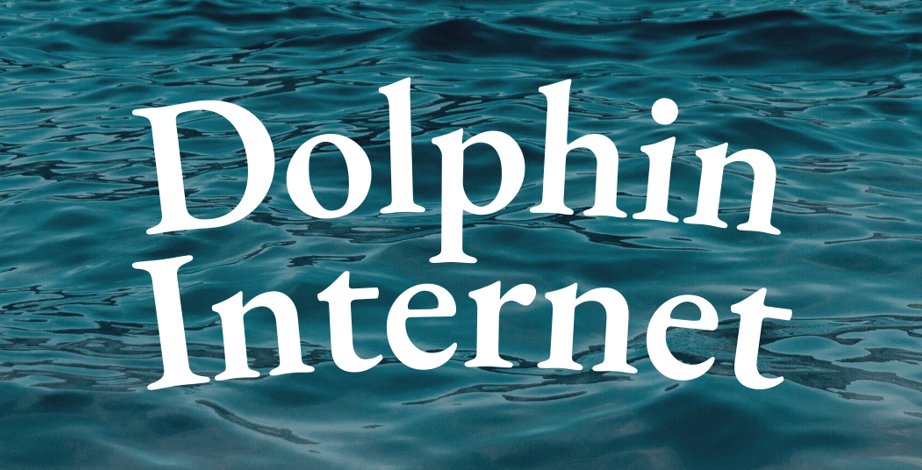 Dolphin Internet AS