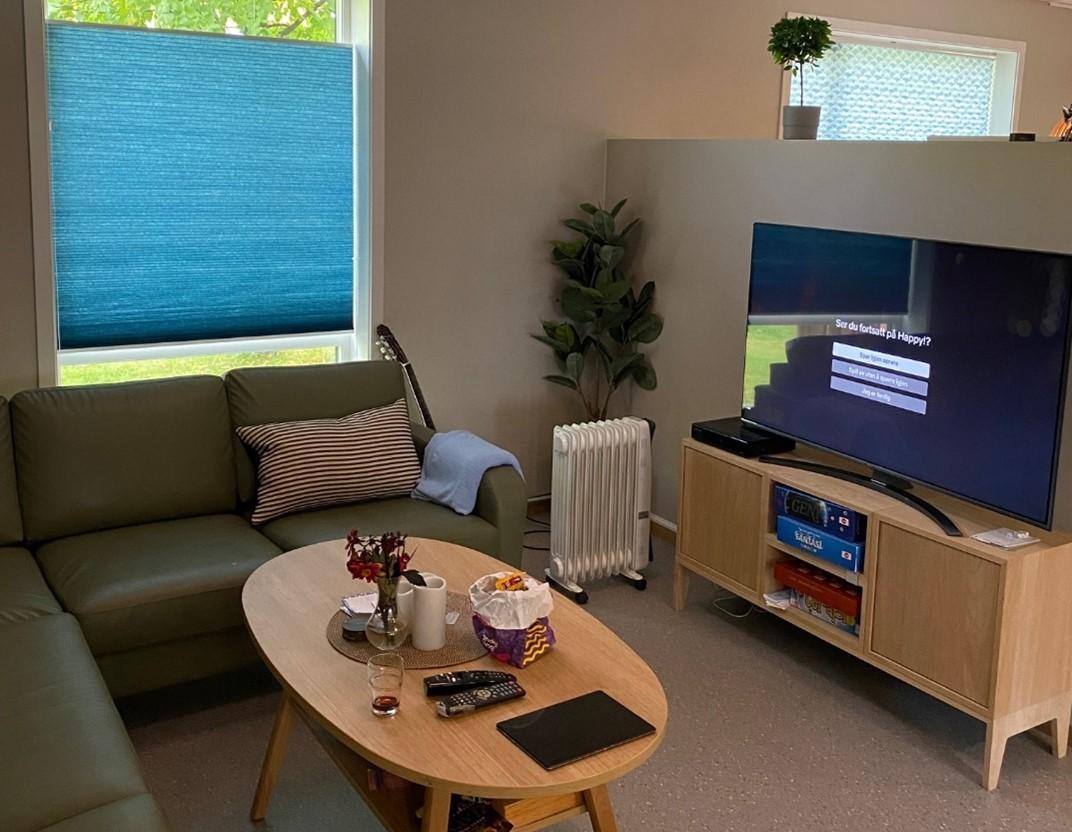 Stue med grønn sofa, kaffebord, TV, planter og vinduer med blå persienner.