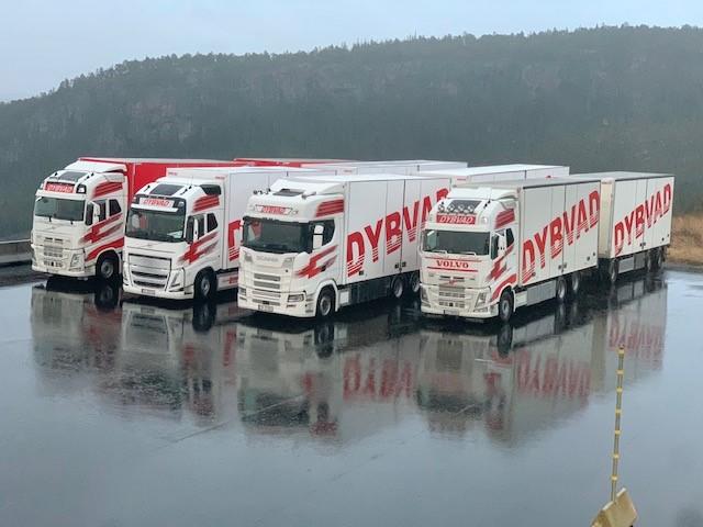 Flere lastebiler med Dybvad-logo parkert på en regnvåt overflate, med fjell i bakgrunnen.