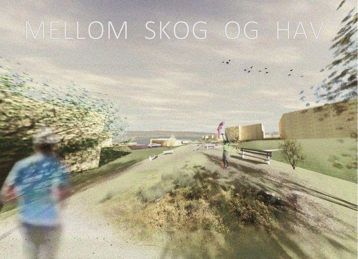 En kunstnerisk fremstilling av en sti mellom skog og hav, med mennesker som jogger og en vakker himmel.