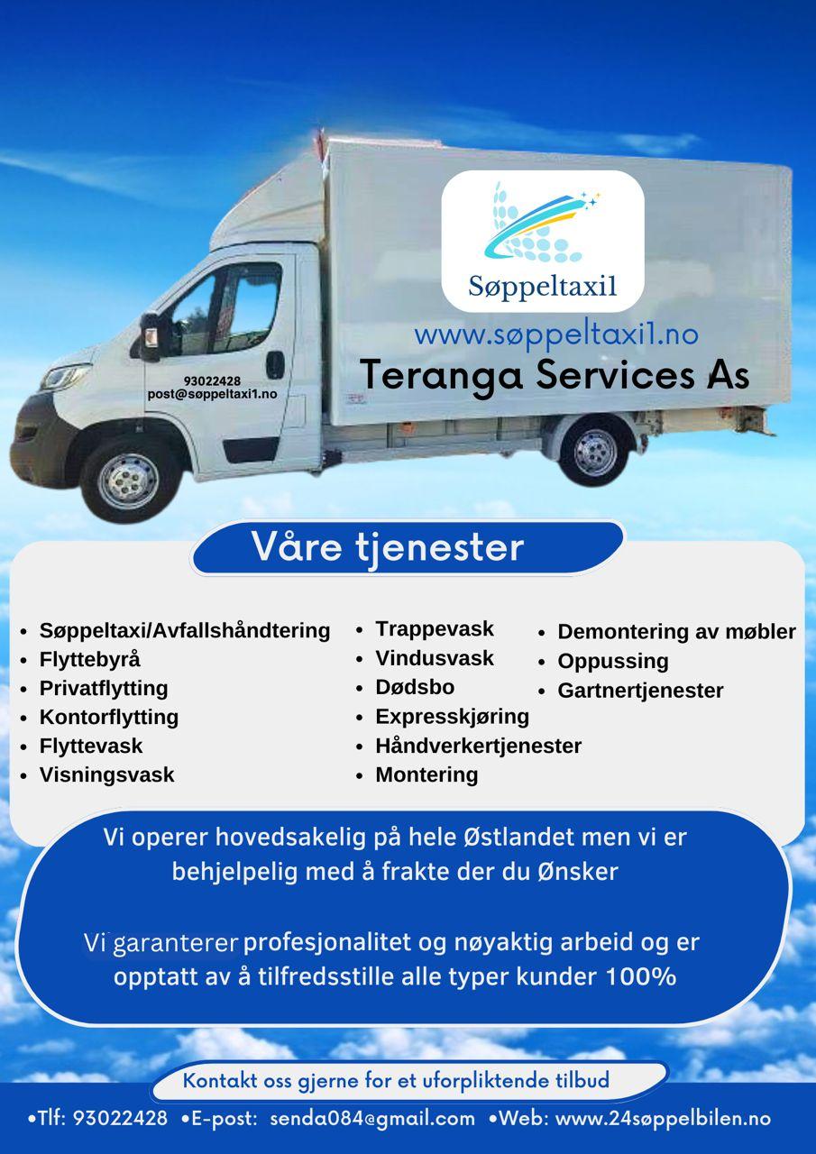 Bilde av en varebil med logoen til Sappeltaxi, som tilbyr transporttjenester i Norge.