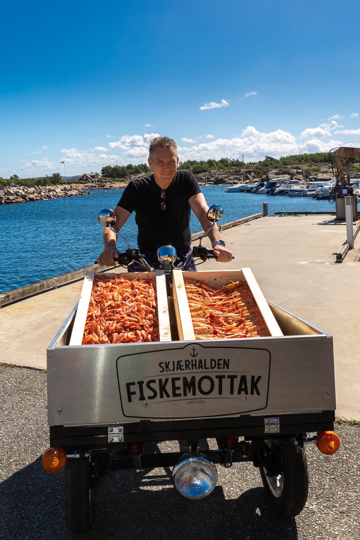 En mann med en sykkeltralle fylt med fisk på en brygge ved havet, med båter i bakgrunnen.