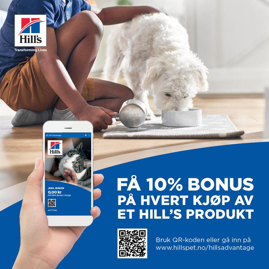 En hund spiser fra en skål mens en person holder en mobiltelefon med Hill's produktinformasjon.