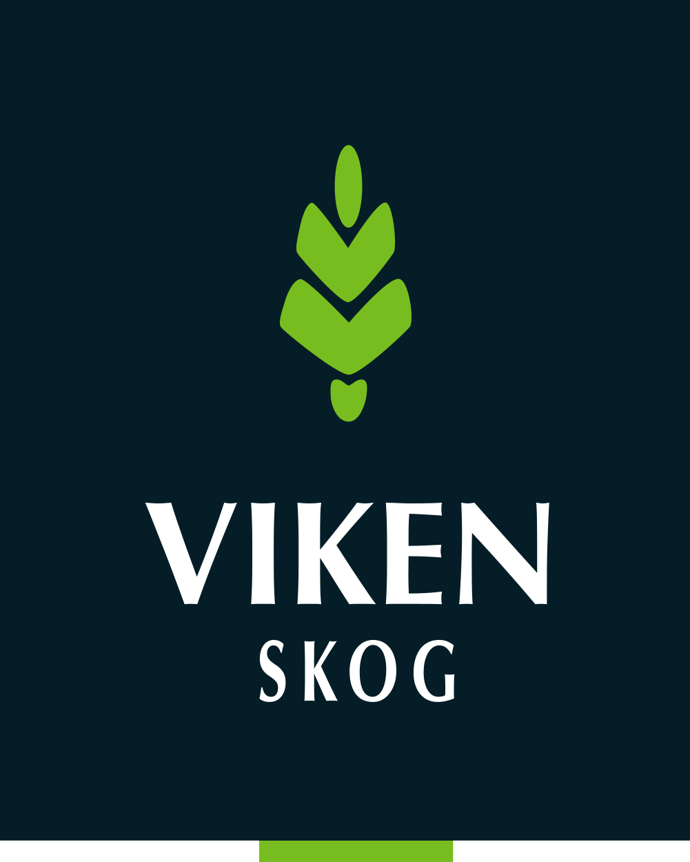 Viken Skog SA