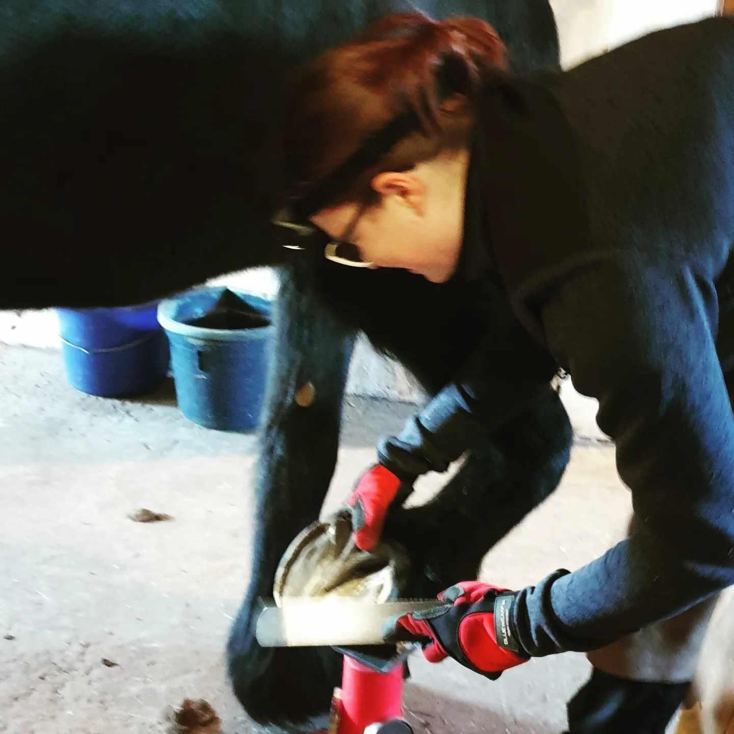 En person som skoer en hest i en stall, iført hansker og solbriller.
