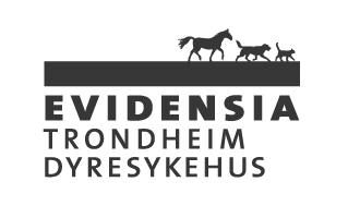 Evidensia Trondheim Dyresykehus