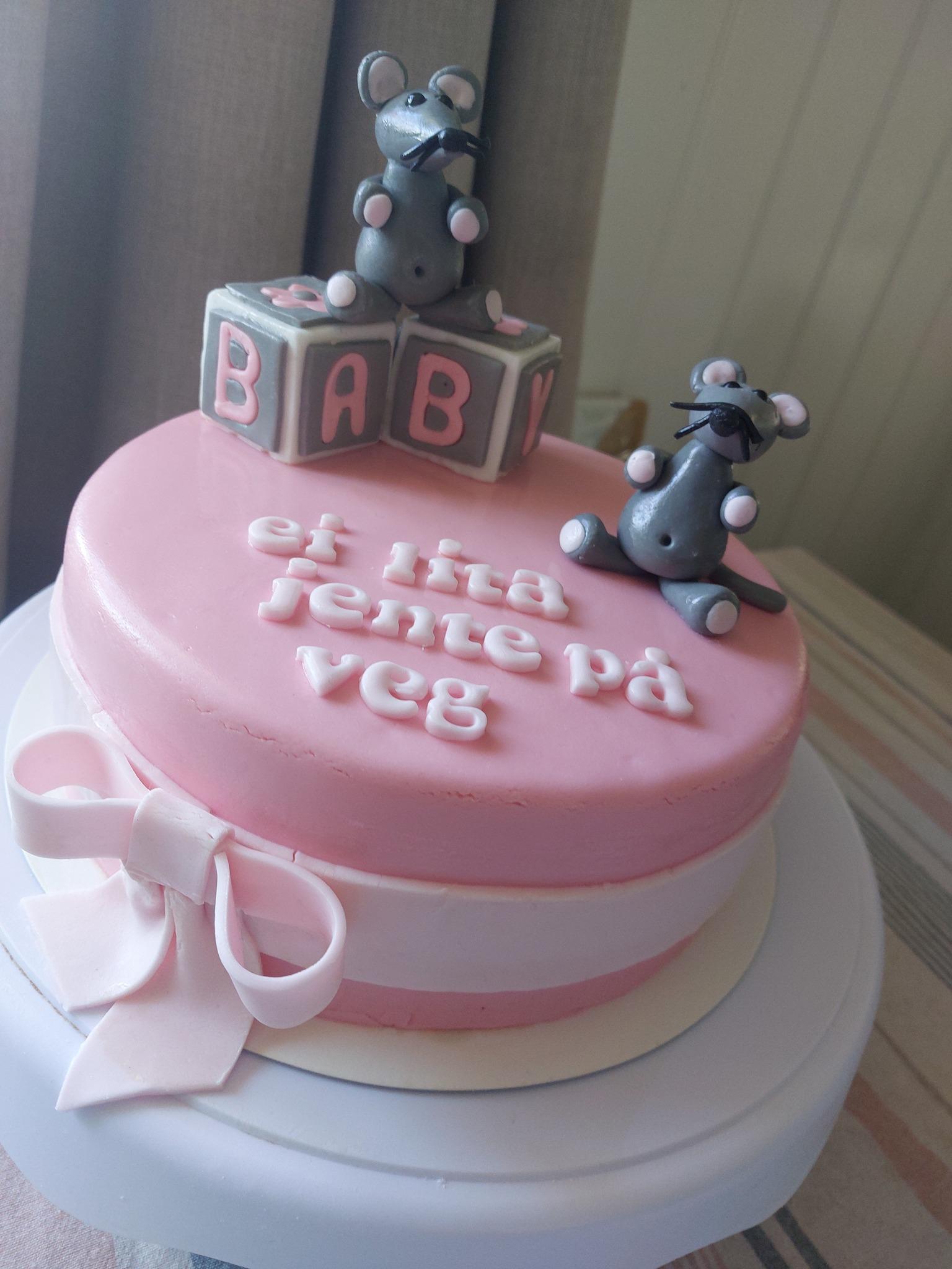 En rosa bursdagskake med musfigurer og klosser med bokstavene "BAB" på toppen.