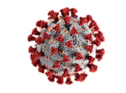Et nærbilde av et koronavirus med røde spikerproteiner på en grå overflate.
