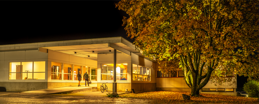 En moderne bygning med lysende vinduer, omkranset av et stort tre med høstfarger, på en stille natt.