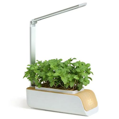 En moderne innendørs urtehage med en LED-lampe og friske urter som mynte.