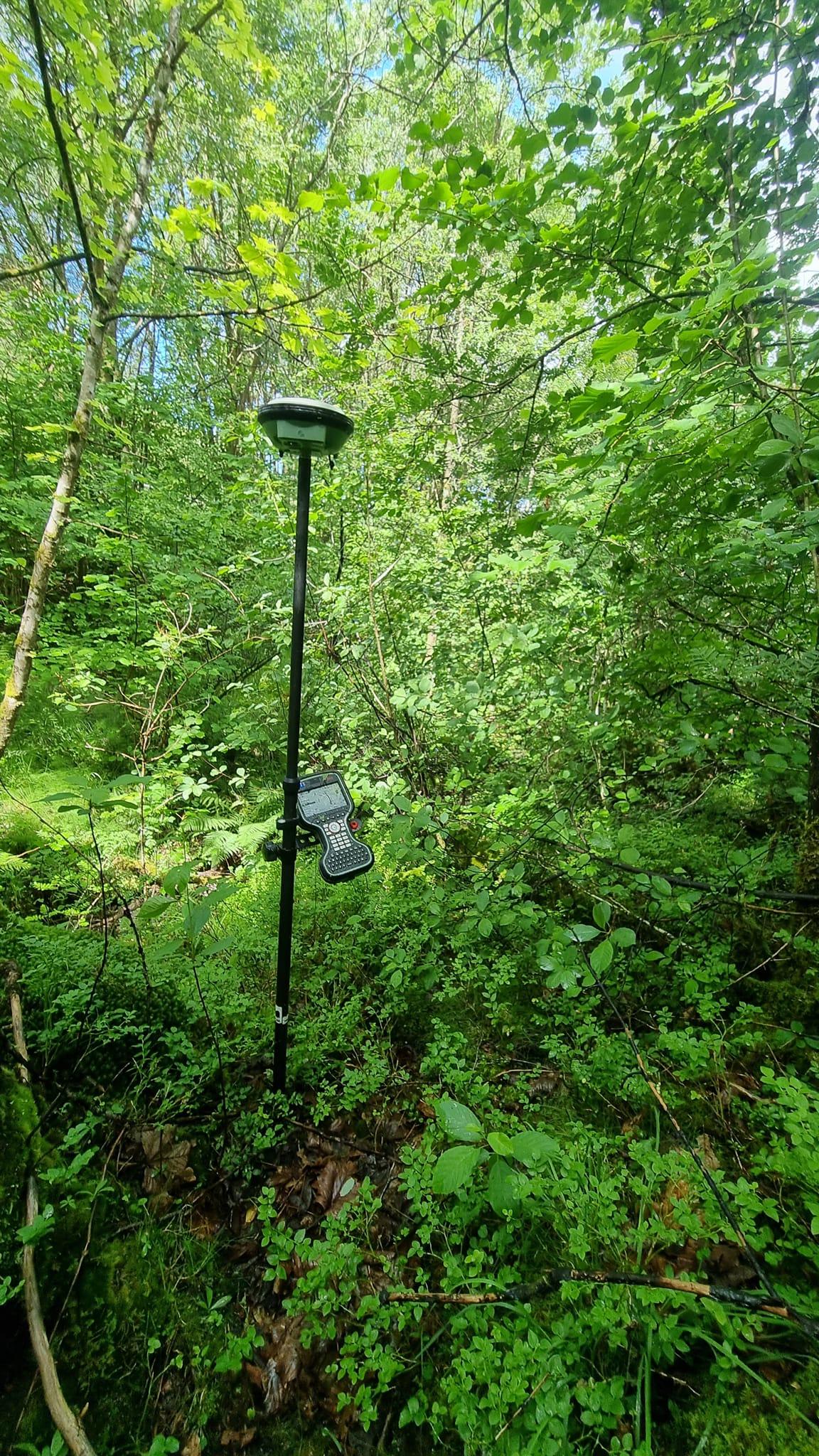 En GPS-enhet står på en stang i en tett, grønn skog med busker og trær rundt.