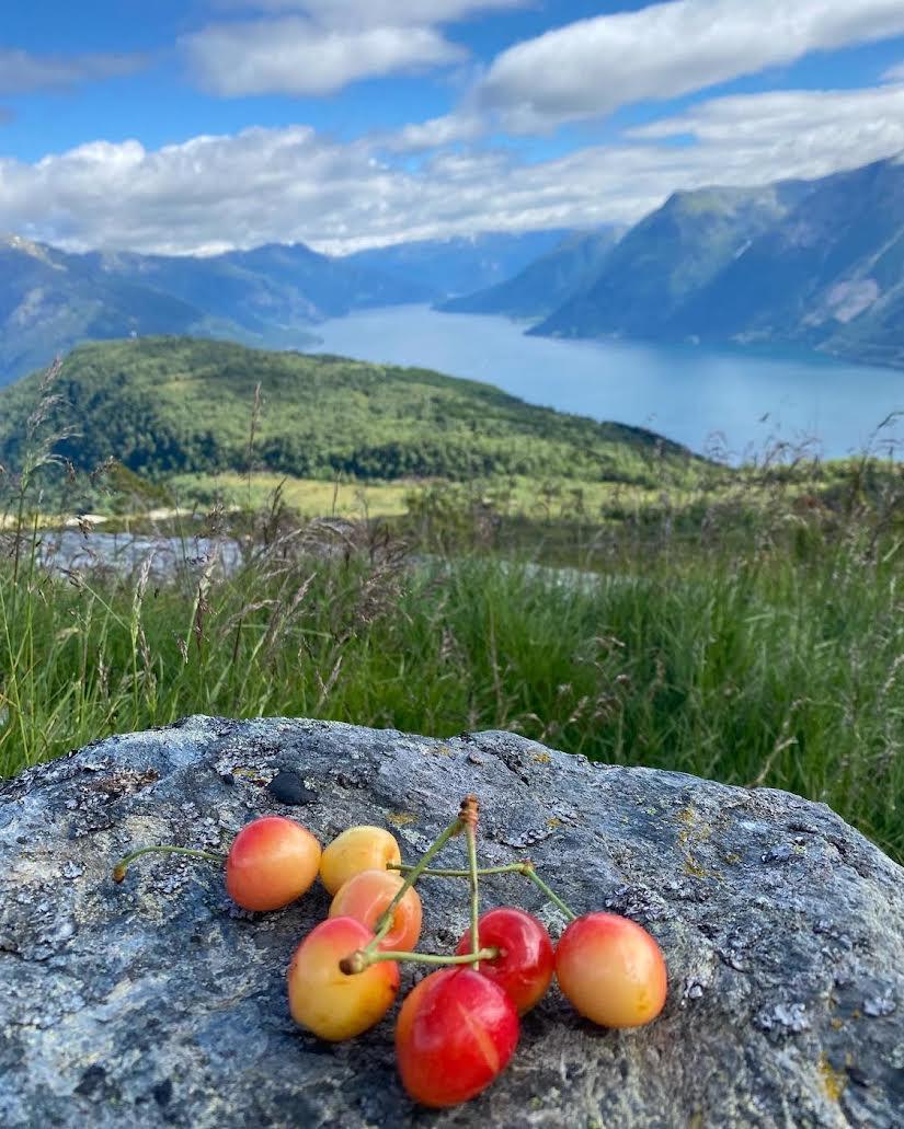 En klase med kirsebær ligger på en stein med fjell og en innsjø i bakgrunnen.