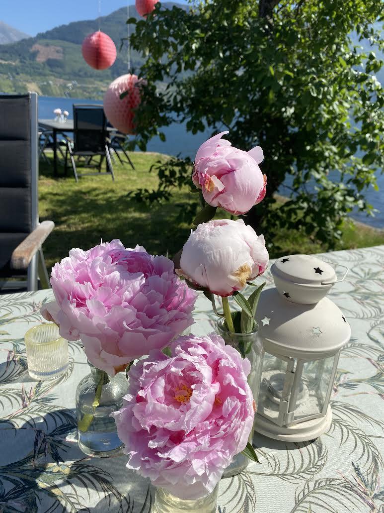 En vase med rosa pioner på et bord ved vannet, med grønne trær og henge-lanterner i bakgrunnen.