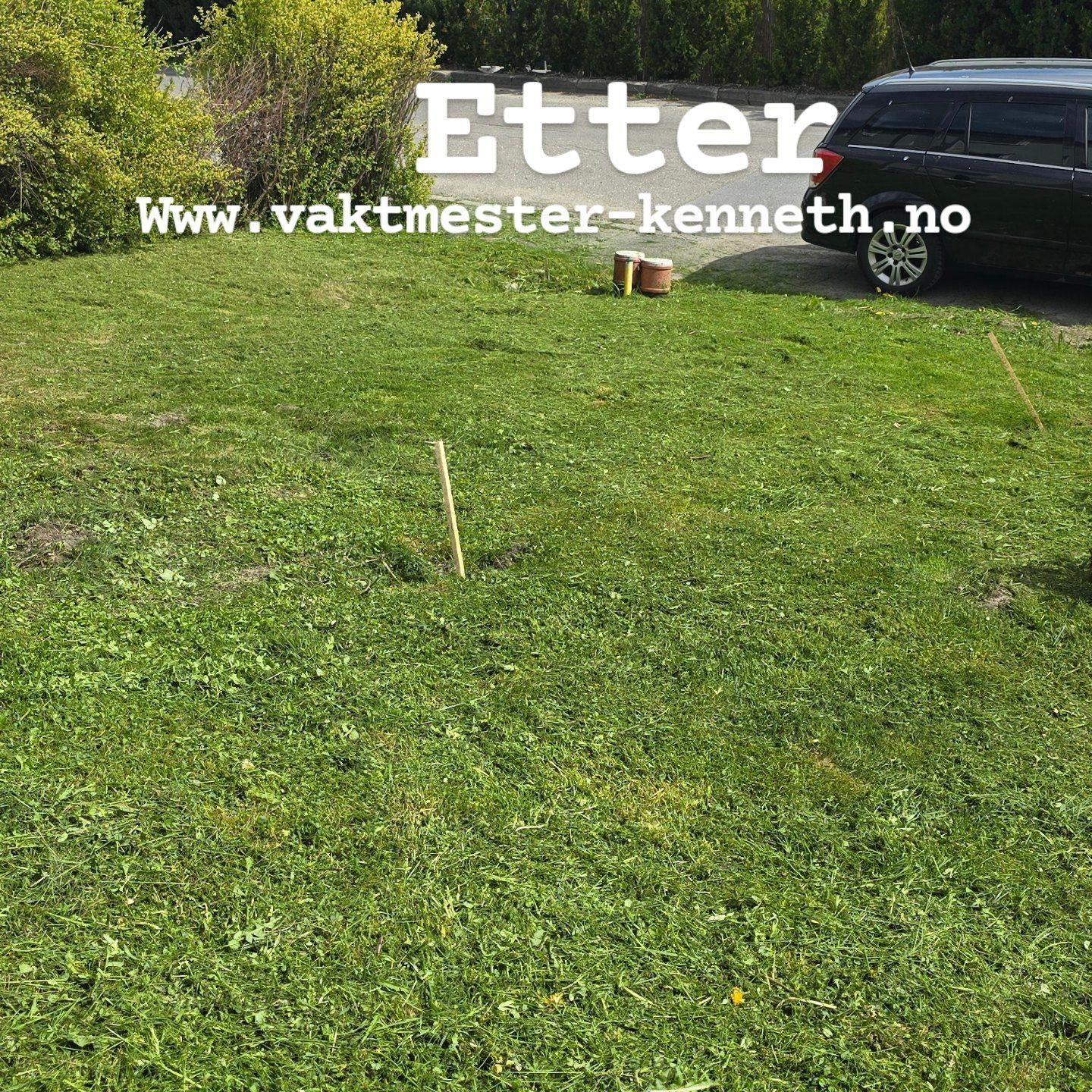 Grønt gressområde med en bil parkert i bakgrunnen og en liten plantekasse til venstre.