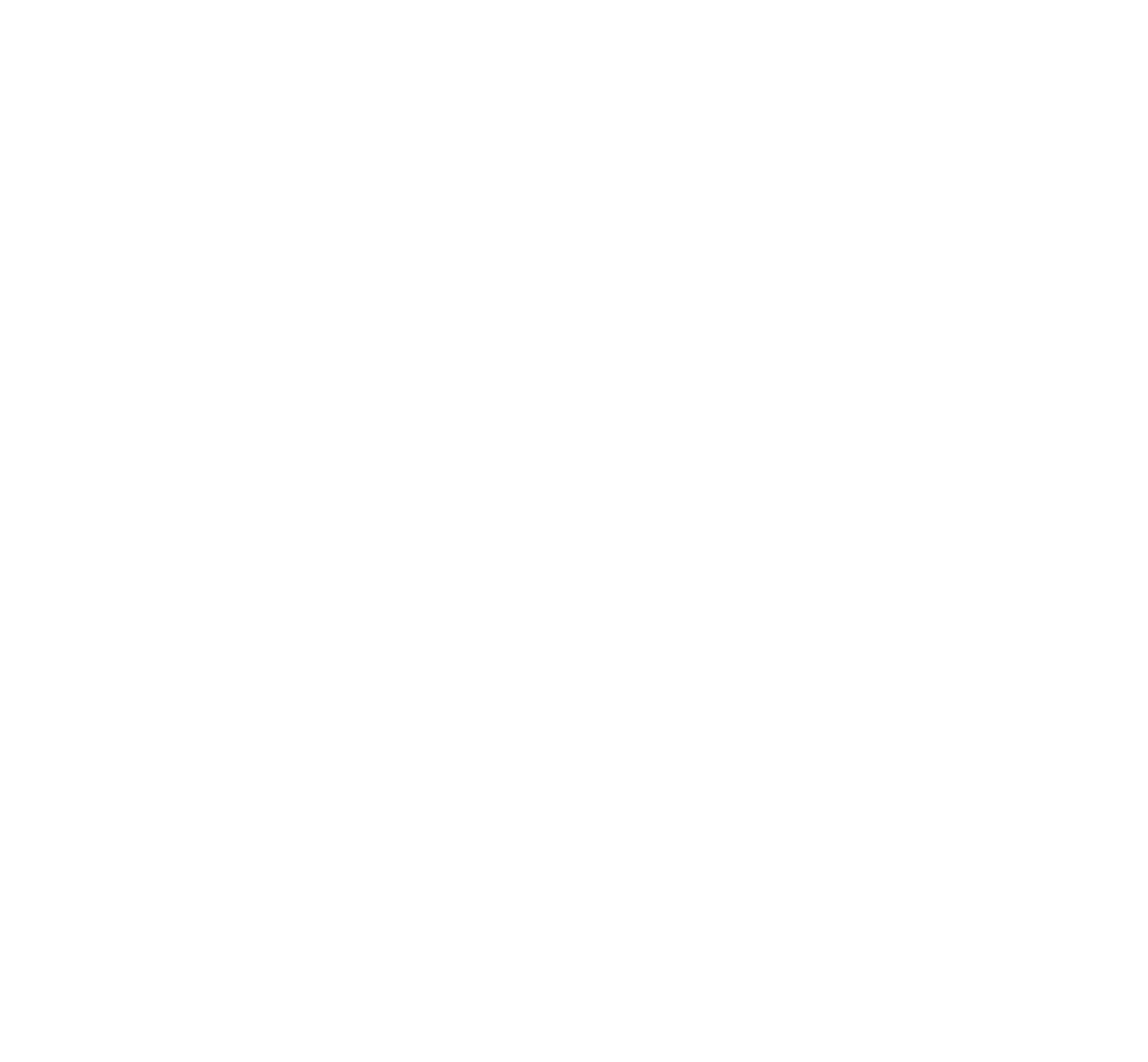 Roa AS