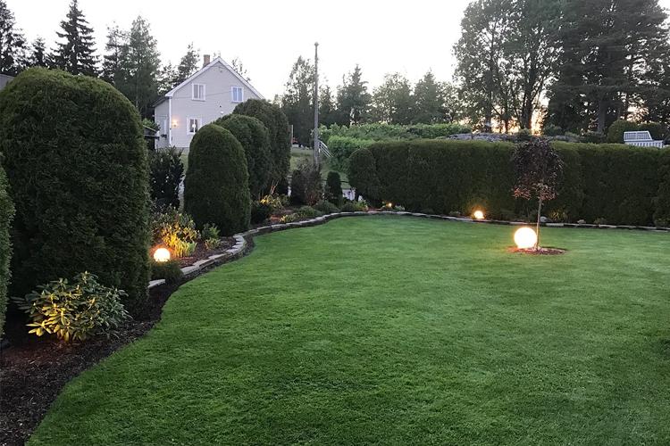En velstelt hage med grønt gress, prydplanter og opplyste kulelamper langs en buet sti.