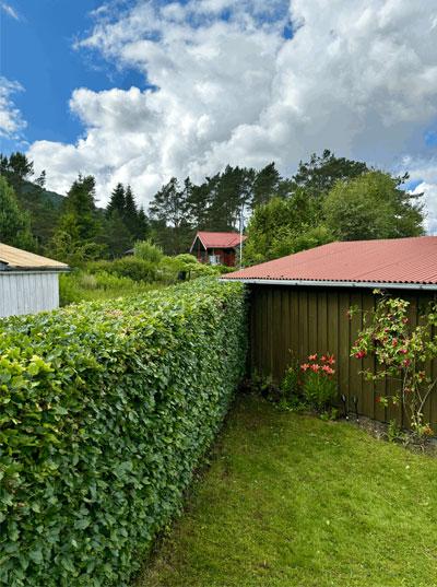 En hage med en grønn hekk, et brunt hus i bakgrunnen og en rød bygning under en blå himmel med skyer.
