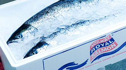 To kasserte laks på is i en hvit eske med teksten "Norway Royal Salmon".