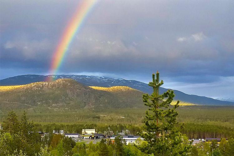 En vakker regnbue over fjellene med grønn skog og en vei i forgrunnen.