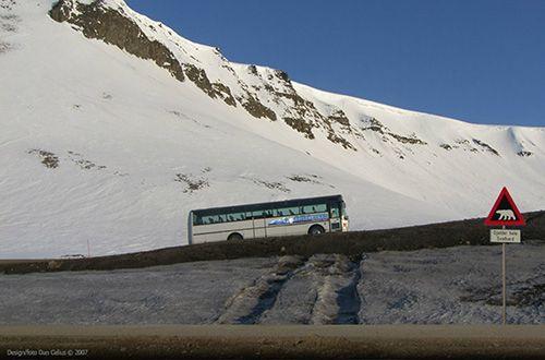 En buss kjører langs en snødekt vei med fjell i bakgrunnen og et fareskilt for dyr.