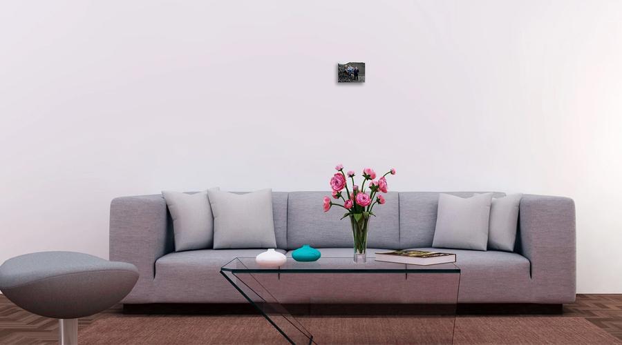 Moderne stue med en grå sofa, glassbord, blomsterbukett og dekorative puter.