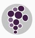 Oslo Vineyard Kristne Felleskap