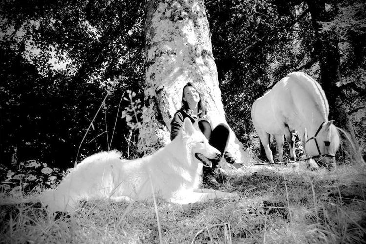 En person sitter under et tre med to hvite hester og en hvit hund i en solfylt hage.