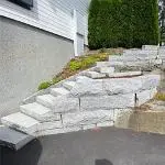 Stentrapper image