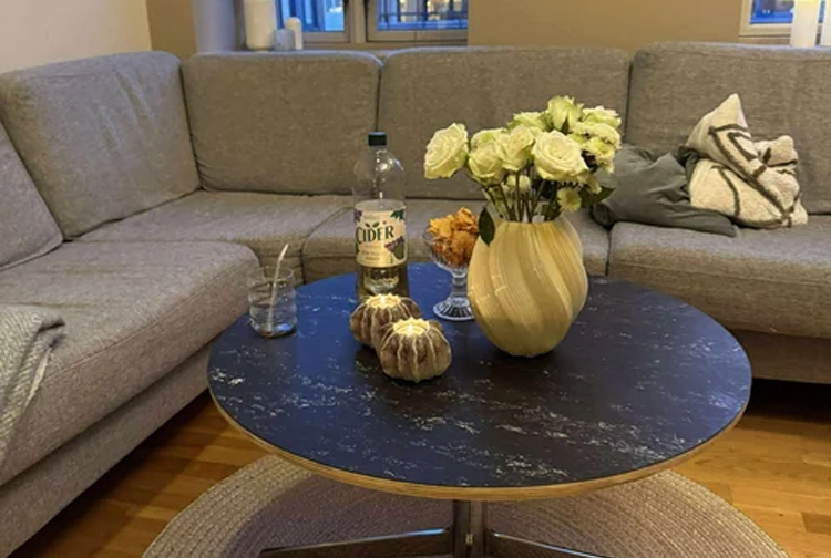 En koselig stue med en grå sofa, et svart bord, en vase med roser og en flaske med drikke.