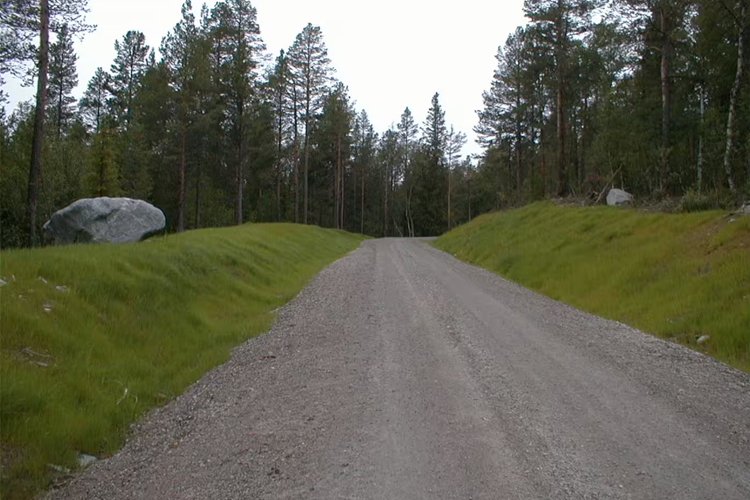 Grusvei omkranset av grønne gressletter og trær i en skog. Store steiner ligger langs veien.
