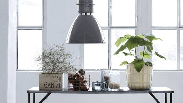 Moderne bord med planter, glasskrukker og en stor lampe, plassert foran vinduer i et lyst rom.