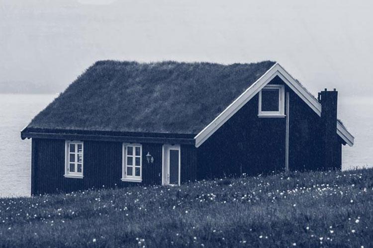 Et svart hus med tak av gress, beliggende ved vannet med blomster i forgrunnen.