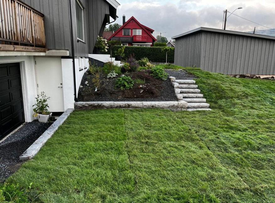 Hage med nyplantede busker og blomster, trappetrinn i betong og en moderne enebolig i bakgrunnen.