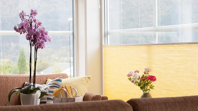 En stue med en orkidéplante og en vase med blomster på et bord ved vinduet. Sollys strømmer inn.