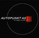 Autopunkt Bilverksted AS