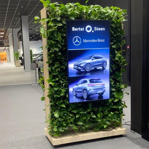 Skilt med bilder av Mercedes-Benz biler, omgitt av grønne planter, i Bertel O. Steen utstillingslokale.