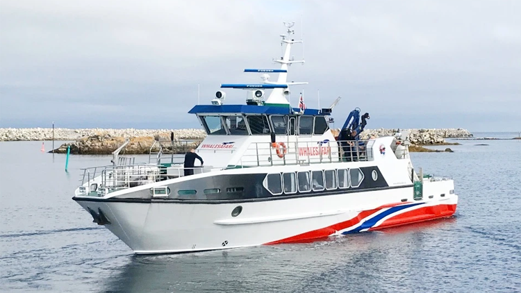 En moderne båt med hvit og rød design seiler på vannet, med en havn i bakgrunnen.