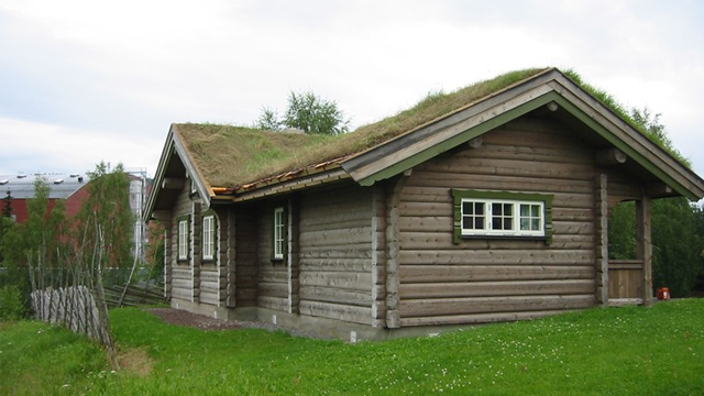 Et koselig tømmerhus med torvtak, plassert på en grønn eng med trær i bakgrunnen.
