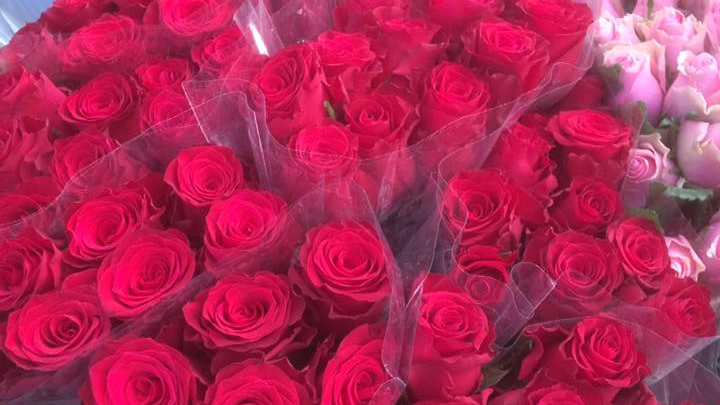 En stor bukett med røde roser pakket i plast, med noen rosa roser i bakgrunnen.
