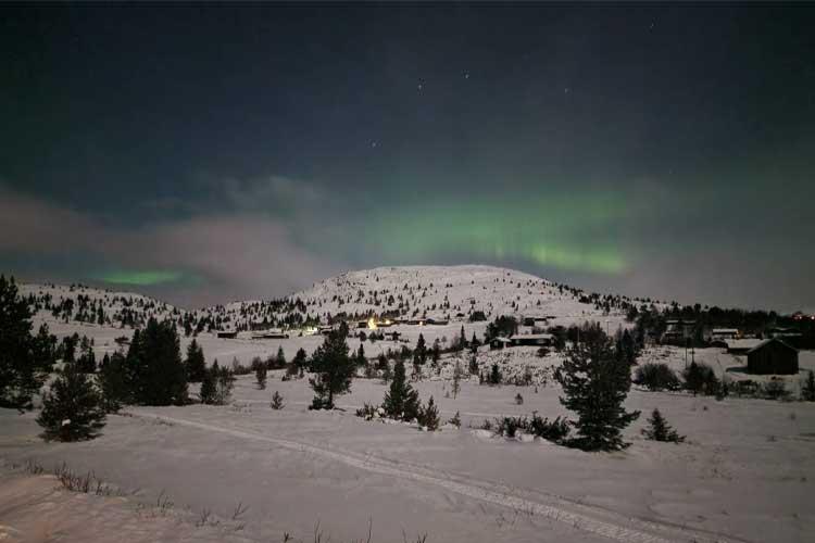 Nordlys over snødekte fjell og trær i en vinterlig landskap med stjerner på nattehimmelen.