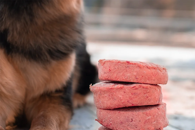Tre kjøttkaker stablet på bakken med en hund i bakgrunnen.