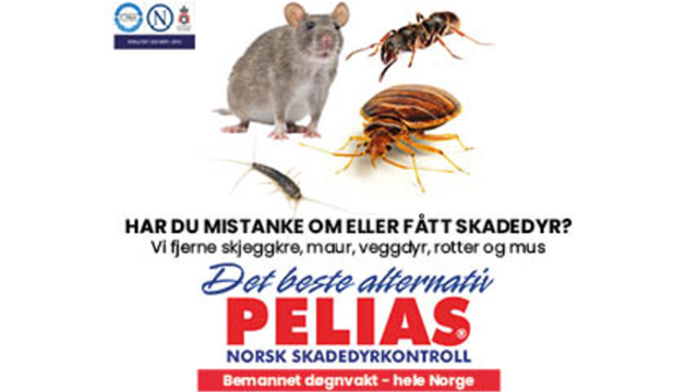 Plakat for skadedyrkontroll med mus, kakerlakker og maur, med informasjon om Pelias skadedyrkontroll.
